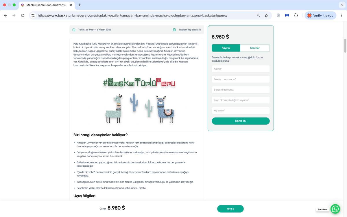 Website flow screenshot showing tour details