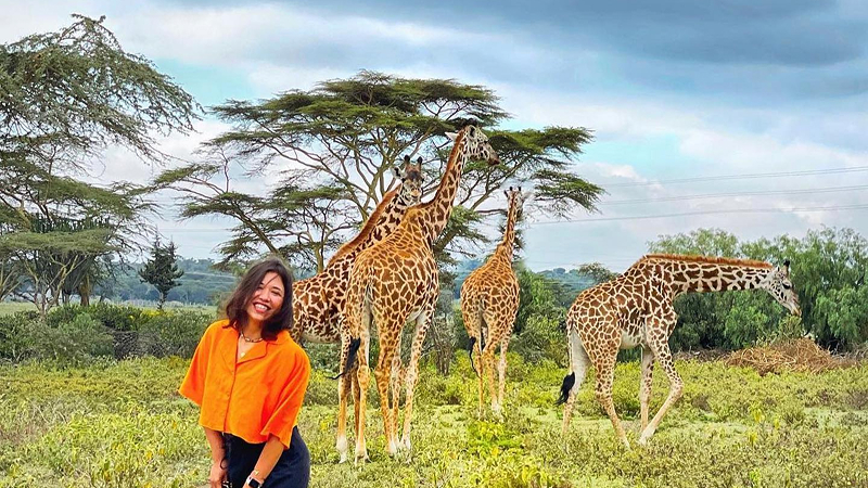 Design Strategy for Travel Company