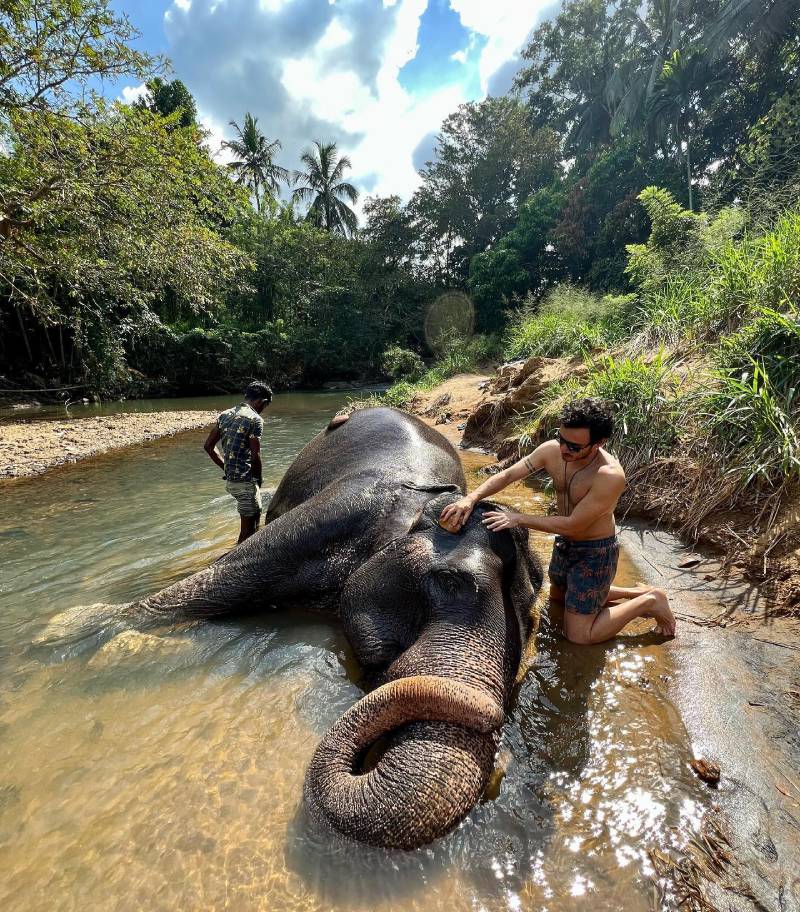 Travel experience showing sri lanka sanctuary bathing with elephants